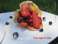 Recette fruits rouges en tulipe