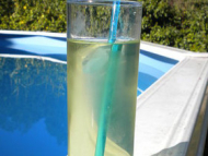 Recette sirop de menthe