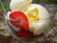 Recette glace au yaourt